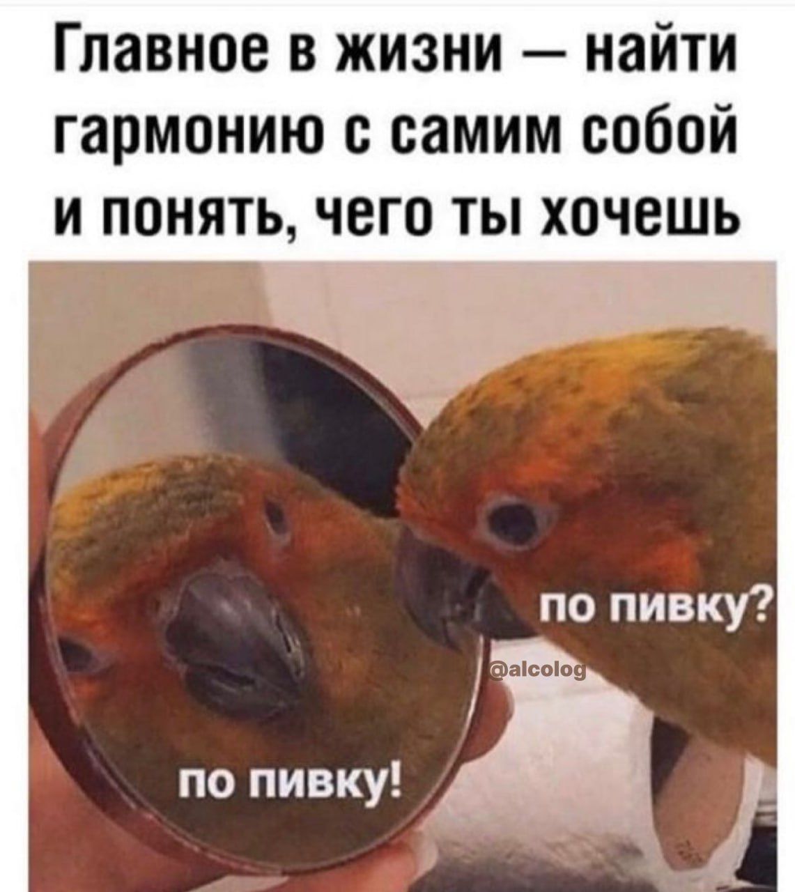 Главное в жизни найти гармонию с самим собой и понять чего ты хочешь по пивку