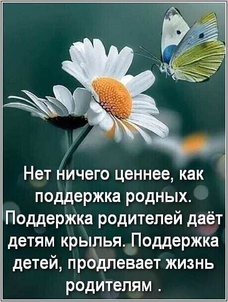 Нет ничего ценнее как поддержка родных Поддержка родителей даёт детям крылья Поддержка детей продлевает жизнь родителям