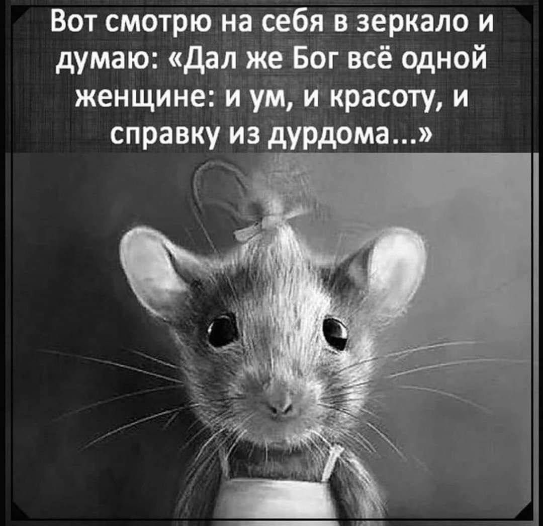 Вот смотрю на себя в зеркало и думаю Дал же Бог всё одной женщине и ум и красоту и справку из дурдома