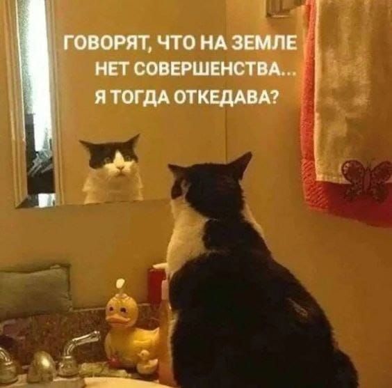 Говорят, что на земле нет совершенства... Я тогда откуда?