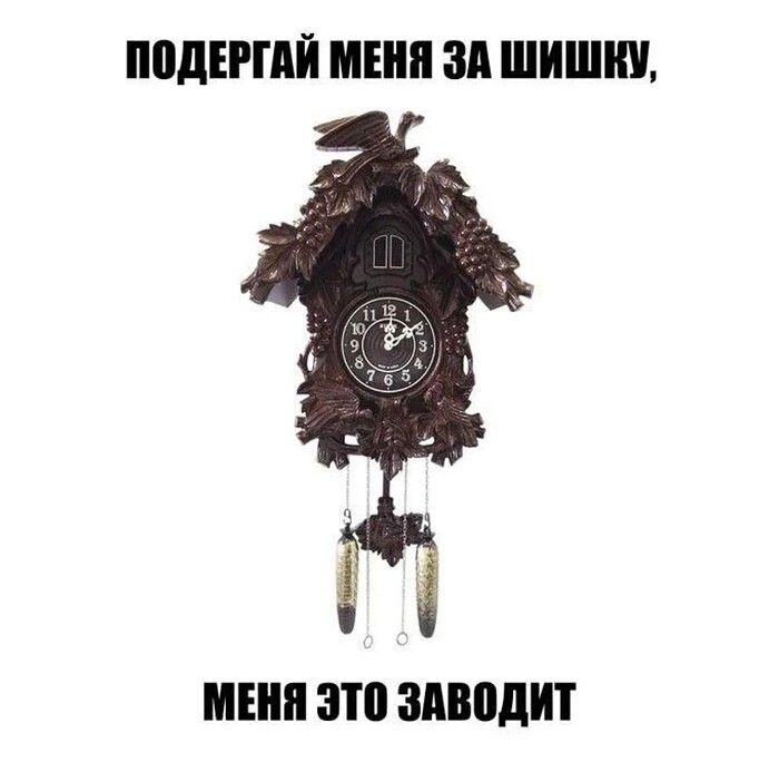 ПОДЕРГАЙ МЕНЯ ЗА ШИШКУ, МЕНЯ ЭТО ЗАВОДИТ