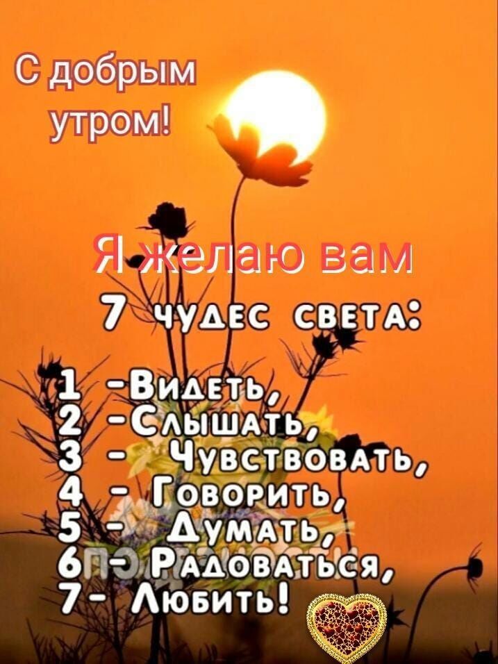 С добрым утром! Я желаю вам 7 чудес света: 1 — Видеть, 2 — Слышать, 3 — Чувствовать, 4 — Говорить, 5 — Думать, 6 — Радоваться, 7 — Любить!