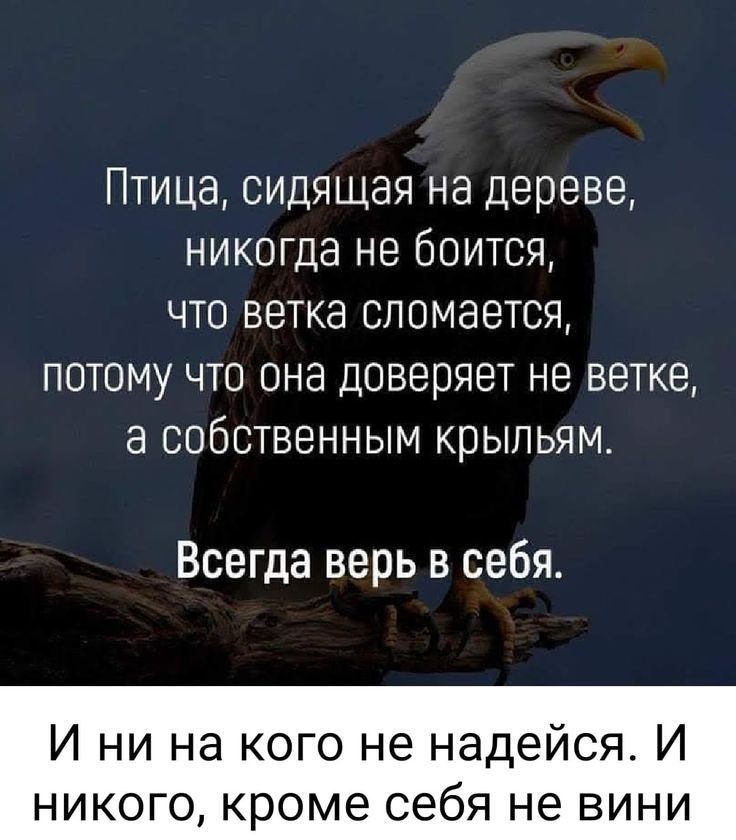 Птица сидящая на дереве никогда не боится что ветка сломается потому что она доверяет не ветке а собственным крыльям Всегда верь в себя И ни на кого не надейся И НИКОГО кроме себя не ВИНИ