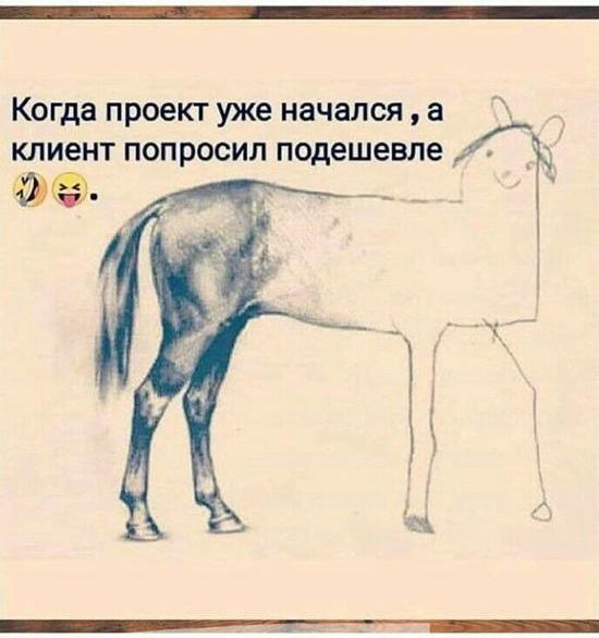 Когда проект уже начался а клиент попросил подешевле