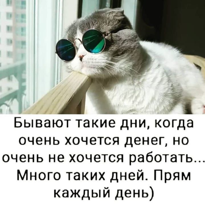 Бывают такие дни когда очень хочется денег но очень не хочется работать Много таких дней Прям каждый день