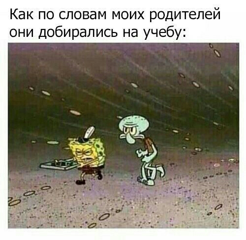 Как по словам моих родителей они добирались на учебу
