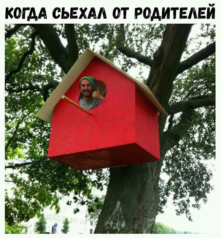 КОГДА О_ЬЕХАА ОТ РО ТЕЛЕЙ
