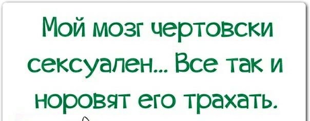 Мой мозг чертовски сексуален Все так и норовят его трахать
