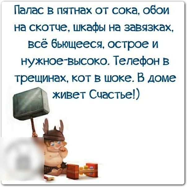 Палас в пятнах от сока обои на скотче шкафы на завязках всё бьющееся острое и нужное высоко Телефон в трещинах кот в шоке В доме живет Счастье