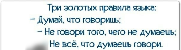 Три золотых правила языка Думай что говоришь Не говори того чего не думаешь Не всё что думаешь говори