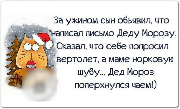 За ужином сын объявил что написал письмо Деду Морозу вертолет а маме норковую шубу дед Мороз поперхнулся чаем