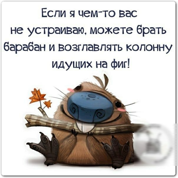 Если я чемто вас не устраиваю можете брать барабан и возглавлять колонну идущих на фиг