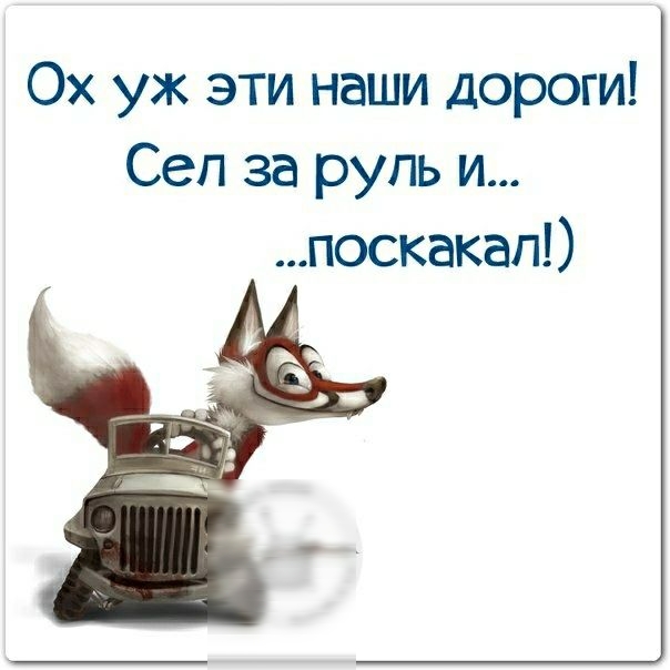 Ох уж эти наши дороги Сеп за руль и поскакап