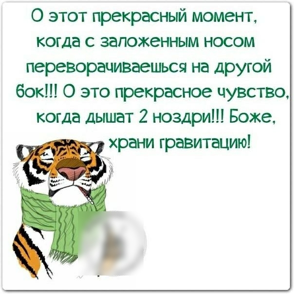 О этот прекрасный момент когда с заложенным носом переворачиваешься на другой бок О это прекрасное чувство когда дышат 2 ноздри Боже храни гравитацию