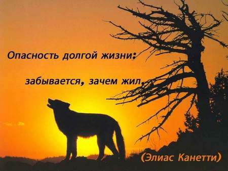Канепи а м Э