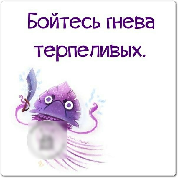 Бойтесь гнева терпеливых