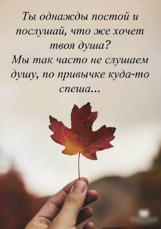 Т ы однажды постой и послушай что же хочет твоя душа Мы так часто не слушаем душу по привычке куда то спеша