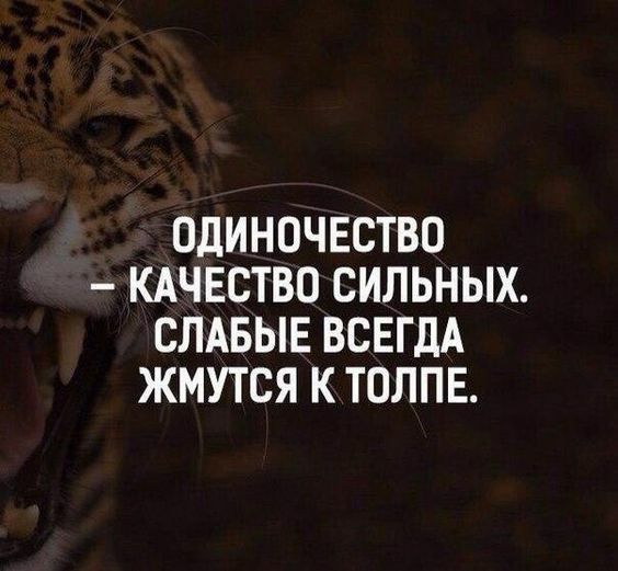 ОДИНОЧЕСТВО КАЧЕСТВО СИЛЬНЫХ СЛАБЫЕ ВСЕГДА ЖМУТСЯ К ТОЛПЕ
