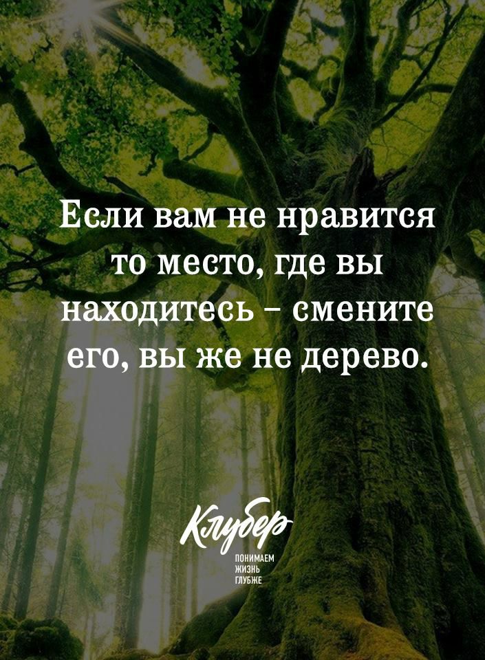 Если вам не нравится то место где вы находитесь смените его вы же не дерево ППИИИАЕМ жизнь ПУБЖЕ
