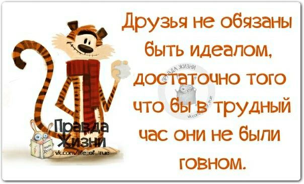 друзья не обязаны быть идеалом ЖИ дооЁочно того что 651 р трудный час они не были ГОВНОМ