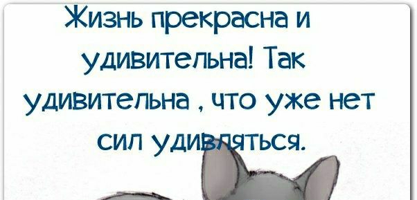 Жизнь прекрасна и удивительна Так удивительна что уже нет СИП УДИЁТЬСЯ