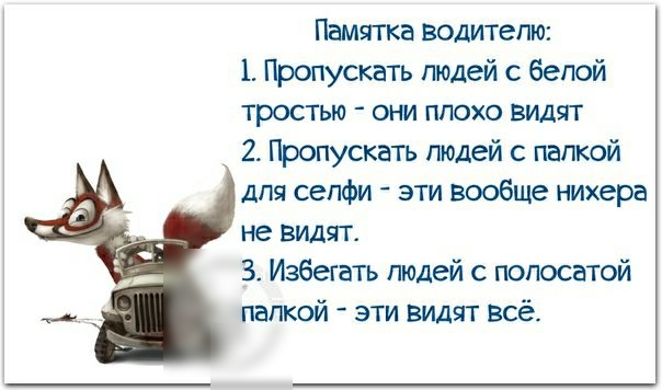 Памятка водителю 1 Пропускать людей с белой тростью они плохо видят 2 Пропускать людей с палкой для селфи эти вообще нихера не видят 3 Избегать людей с полосатой палкой эти видят всё