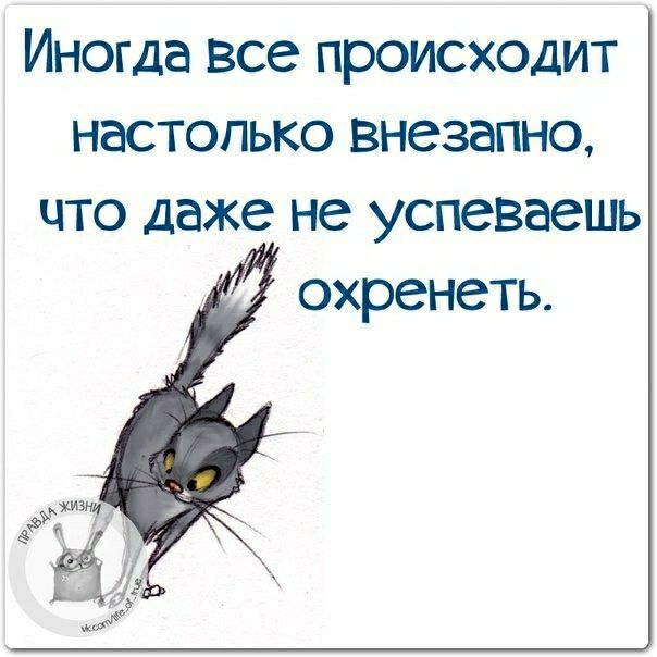 Иногда все происходит настолько внезапно что даже не успеваешь охренеть