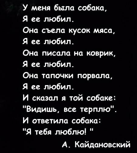 У меня была собака Я ее любил Она съела кусок мяса Я ее любил Она писала на коврик Я ее любил Она тапочки порвала Я ее любил И сказал я той сабака Видишь все терплю И ответила собака Я тебя люблю А Кайдановский