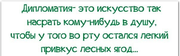 Диппоматия это искусство так насрать кому нибудь в душу чтобы у того во рту остался легкий привкус лесных ягод