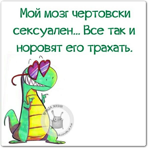 Мой мозг чертовски сексуален Все так и норовят его трахать