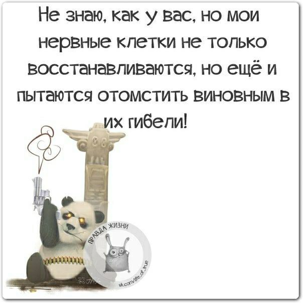 Не знаю как у вас но мои нервные клетки не только восстанавливаются но ещё и пытаются отомстить виновным в _ их гибели