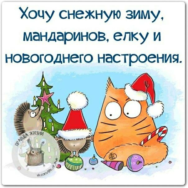 Хочу снежную зиму мандаринов елку и новогоднего настроения