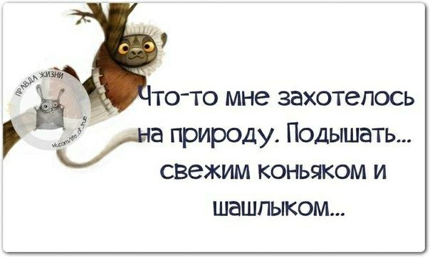 то то мне захотелось кыа природу Подышать свежим коньяком и шашлыком