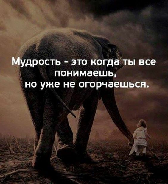 МУДРОСТЬ ЭТО когда ты все ПОНИМЗЕШЬ НО уже не огорчаешься