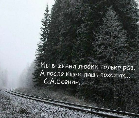 Мы в жизни любим только раз А после ишет лишь похожим САЕсенин