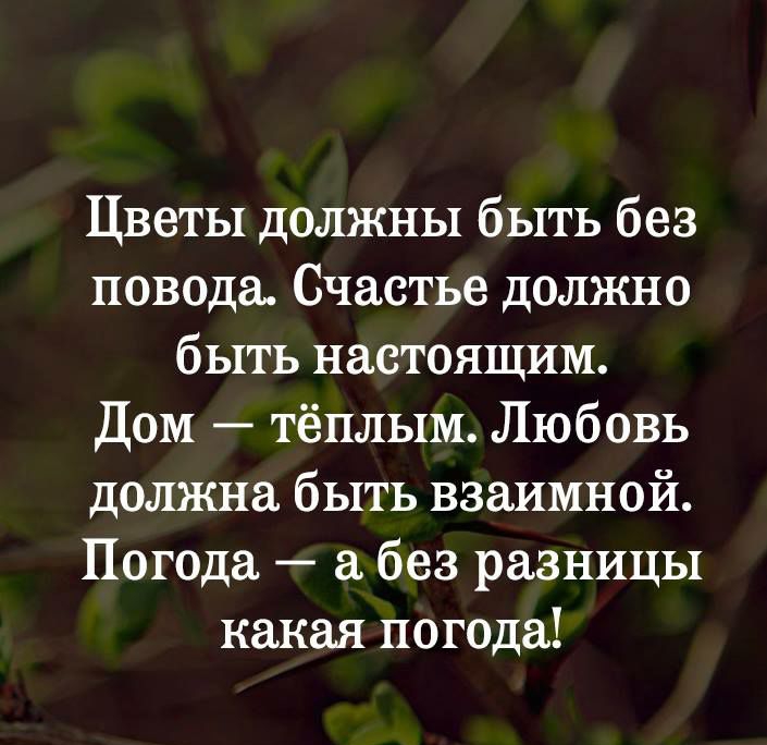 Цветы должны быть без повода Счастье должно быть настоящим Дом тёплым Любовь должна быть взаимной Погода а без разницы какая погода