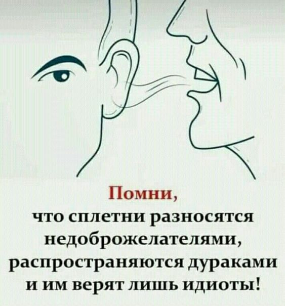 Помни что сплетни разносятся недоброжелателями распространяются дураками и им верят лишь идиоты