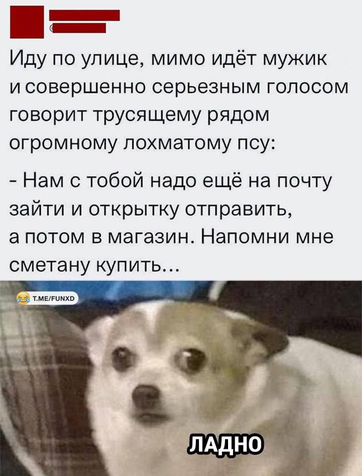 _ Иду по улице мимо идёт мужик и совершенно серьезным голосом говорит трусящему рядом огромному лохматому псу Нам с тобой надо ещё на почту зайти и открытку отправить а потом в магазин Напомни мне смета ну купить