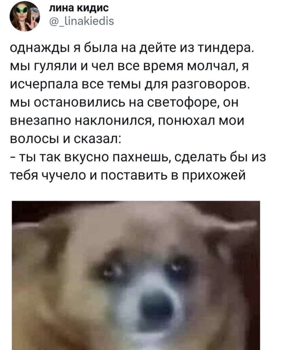 лина кидис _ыпаиеаіз однажды я была на дейте из тиндера МЫ ГУЛЯПИ И ЧЕЛ Все время МОПЧВЛ Я исчерпала все ТЕМЫ ДЛЯ РЕЗГОВОРОБ МЫ ОСТЭНОБИПИСЬ на светофоре ОН внезапно наклонился понюхал мои волосы и сказал ты так вкусно пахнешь сделать бы из тебя чучело и поставить в прихожей