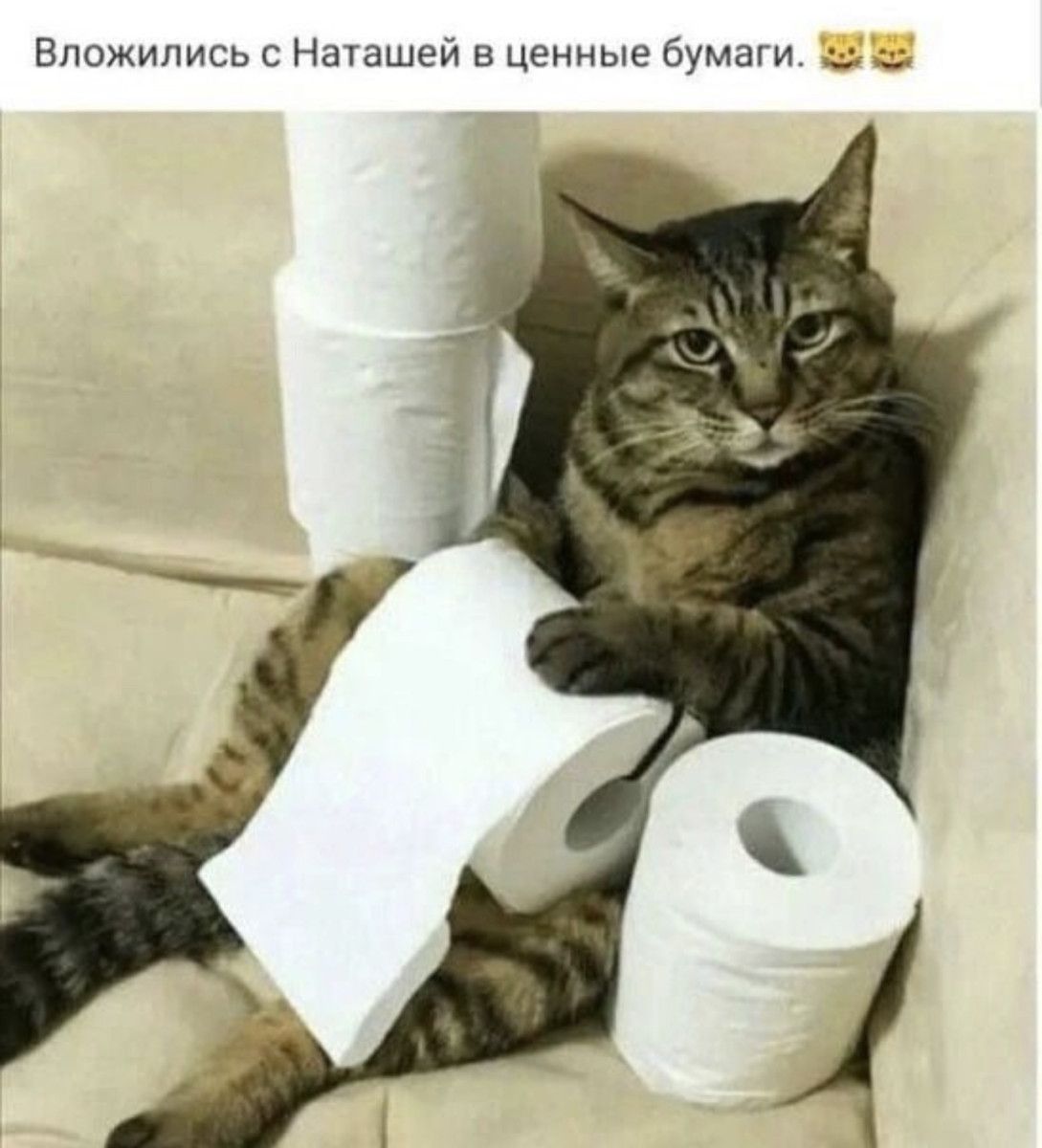Впожились с Нашшей в ценные бума _