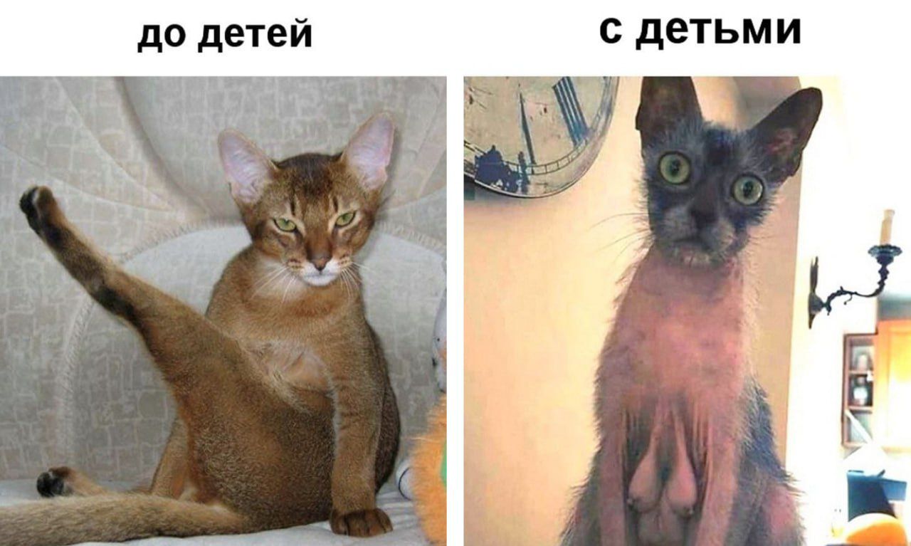 до детей с детьми