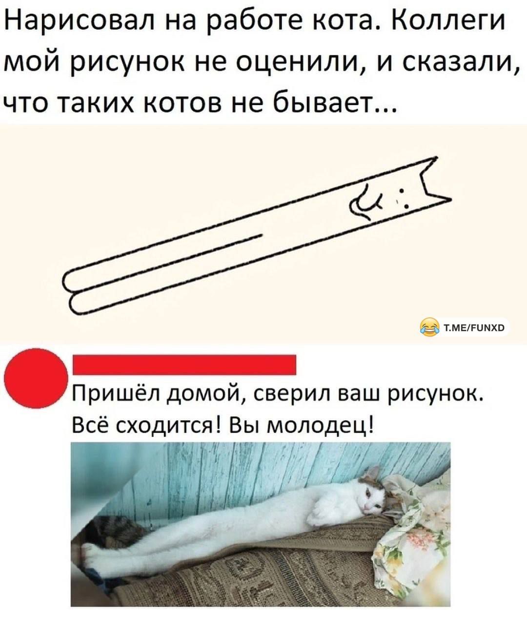 Нарисовал на работе кота Коллеги мой рисунок не оценили и сказали что таких котов не бывает знаниями _ Пришёл домой сверил ваш рисунок Всё сходится Вы молодец