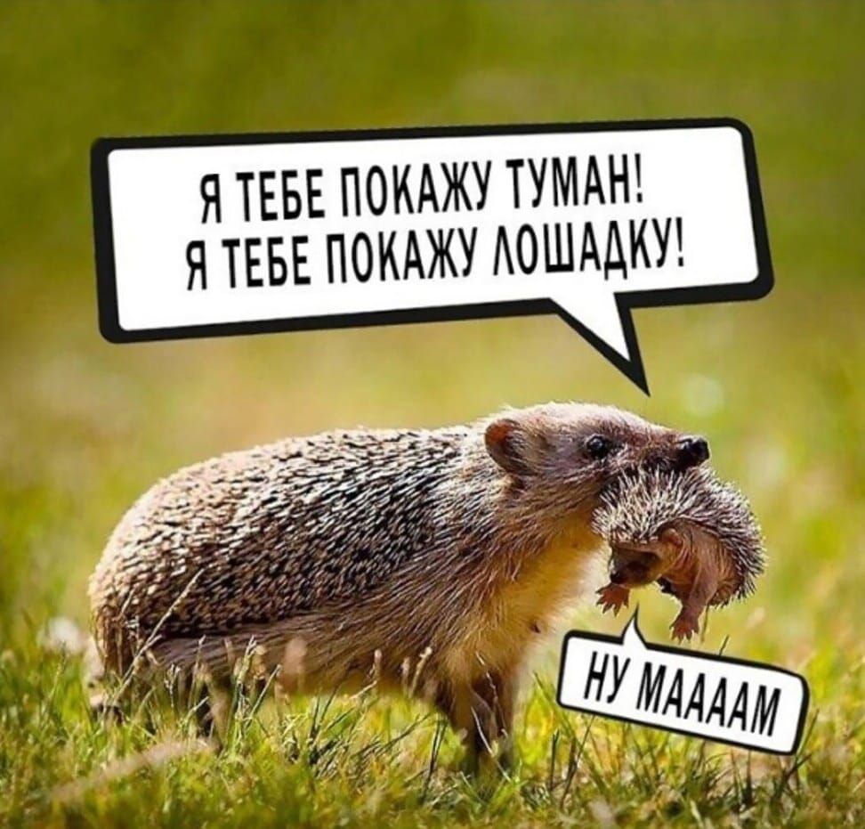 ЯТЕБЕ ПОКАЖ ТУМАН Я ТЕБЕ ПОКАЖУ АОШАДКУ