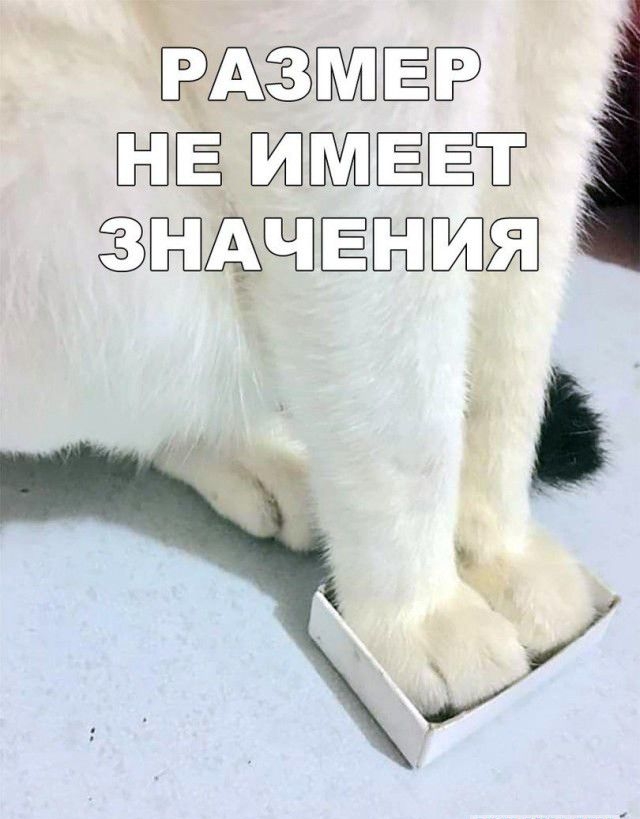 ёааг ЁЮЮ ЩЗБШ Ё