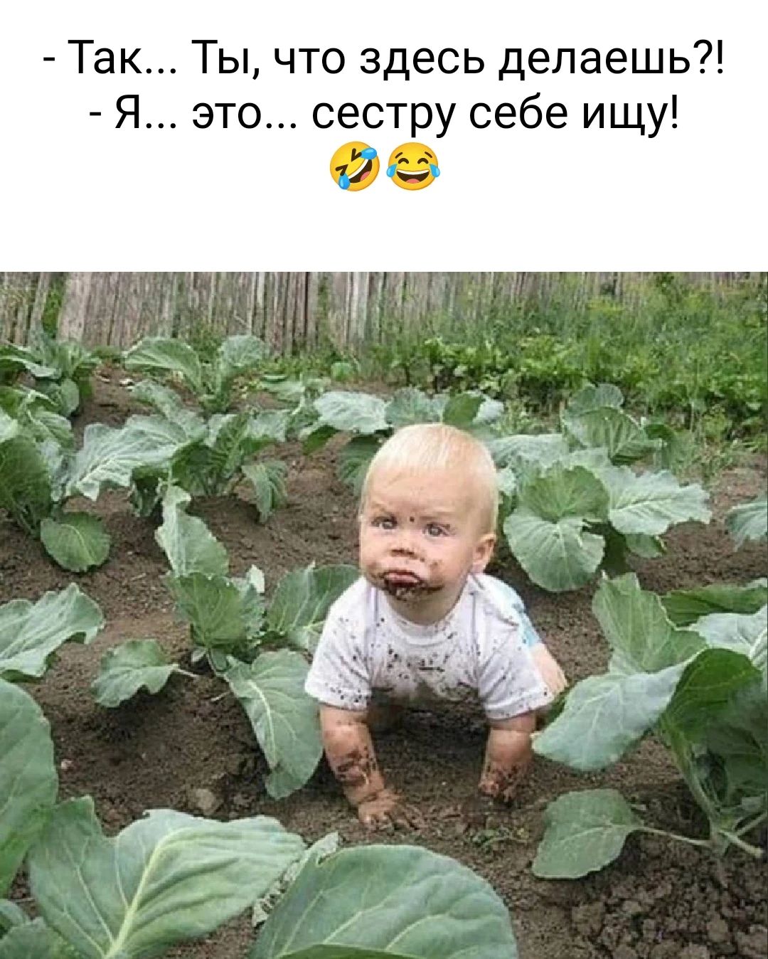 Так Ты что здесь делаешь Я это сестру себе ищу