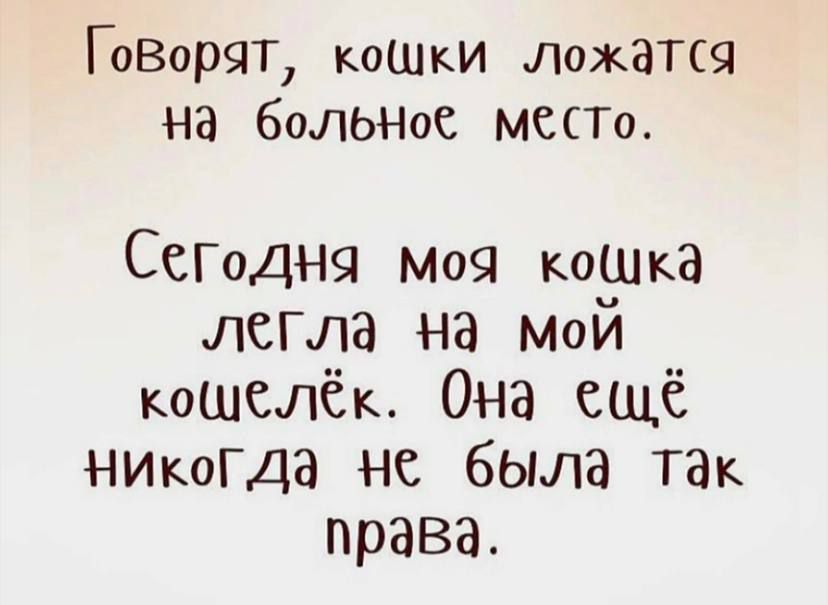 ГоВорЯТ коШкИ ЛожЗТСЯ на боЛЬНое МЕСТО СеГоднч моя кошка легла на мой кошелёк Она ещё никогда не была так права