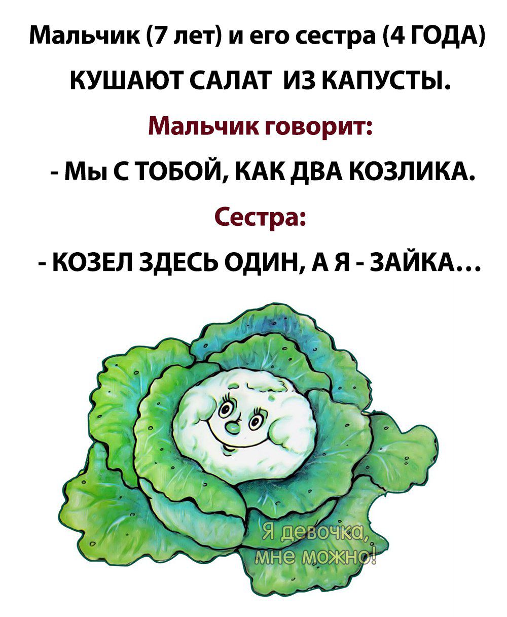 Мальчик 7 лет и его сестра 4 ГОДА КУШАЮТ САЛАТ ИЗ КАПУСТЫ Мальчик говорит Мы С ТОБОЙ КАК дВА КОЗЛИКА Сестра козвл ЗДЕСЬ один А я ЗАЙКА