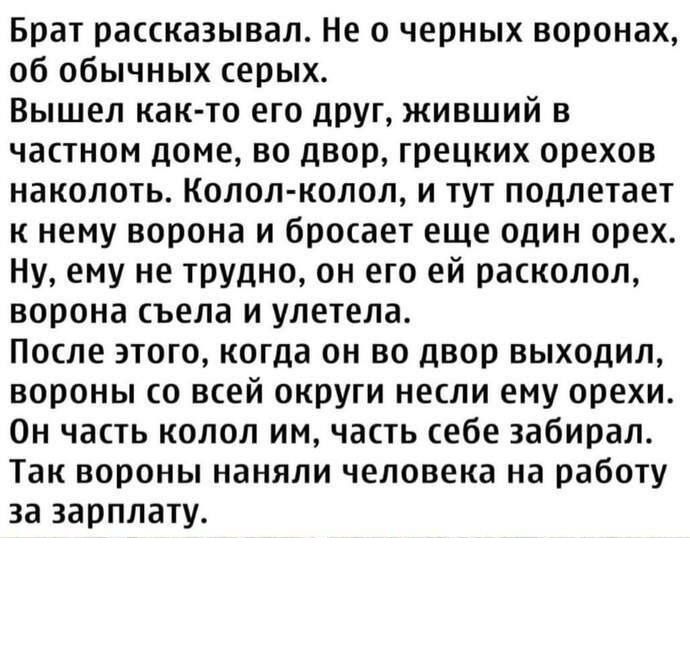 Брат рассказывал Не о черных воронах об обычных серых Вышел както его друг живший в частном доме во двор грецких орехов наколоть Колол колол и тут подлетает к нему ворона и бросает еще один орех Ну ему не трудно он его ей расколол ворона съела и улетела После этого когда он во двор выходил вороны со всей округи несли ему орехи Он часть колол им часть себе забирал Так вороны наняли человека на рабо