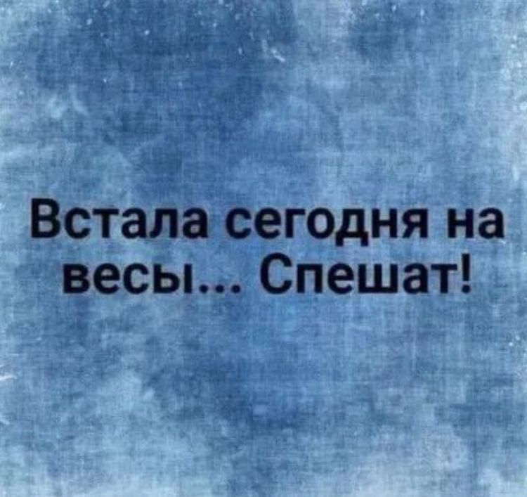 Встала сегодня на весы Спешат