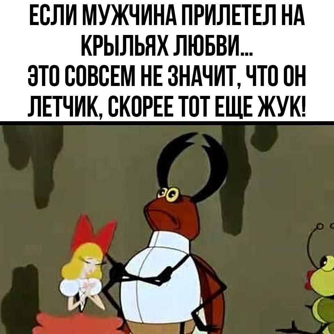 ЕСЛИ МУЖЧИНА ПРИЛЕТЕЛ НА КРЫЛЬЯХ ЛЮБВИ ЭТО СОВСЕМ НЕ ЗНАЧИТ ЧТО ОН ЛЕТЧИК СКОРЕЕ ТОТ ЕЩЕ ЖУК